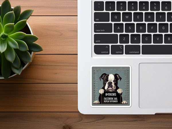 Facebook Jail Repeat Offender | Funny Stickers Bulk | Vinyl