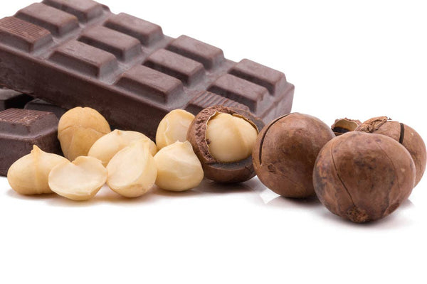 Chocolate Macadamia Truffle