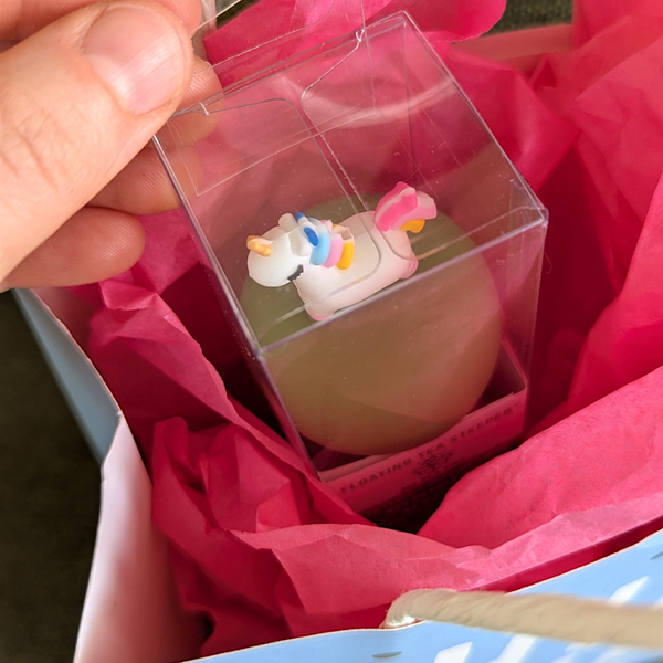 Clear Box Hangable Packaging  | Tea Infuser | PET Plastic
