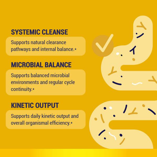 HARMONIFY Fenbendazole Blend