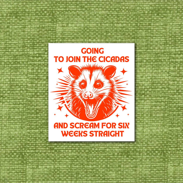 Join Cicadas and Scream for 6 weeks, funny opossum sticker