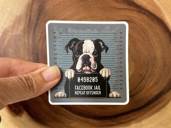 Facebook Jail Repeat Offender | Funny Stickers Bulk | Vinyl