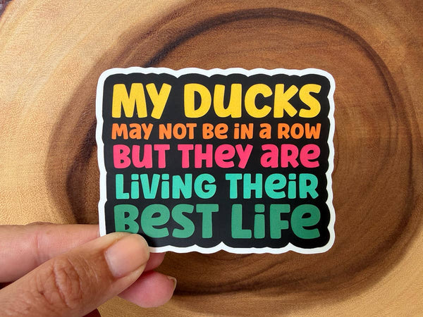 Ducks in a Row | Funny Stickers | Vinyl Stickers | Hot Mess