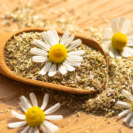 Golden Sand Serenity Tea