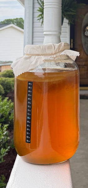 Class 1: Brew Your Own Kombucha (Gut Health) April 26th 6:30-8pm
