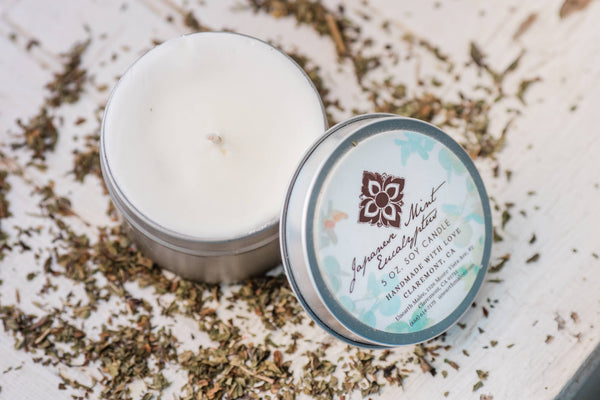Japanese Mint Eucalyptus Travel Candle Tin